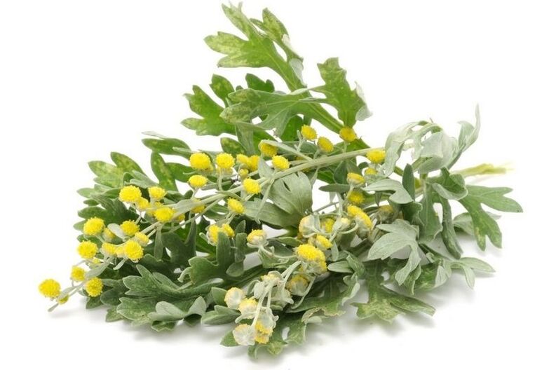 tansy parasiitide vastu